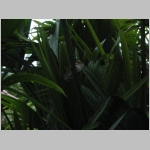 CostaRica_022.jpg