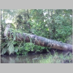 CostaRica_003.jpg