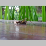 CostaRica_050.jpg