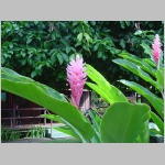 CostaRica_051.jpg