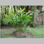 CostaRica_053.jpg