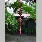CostaRica_054.jpg