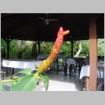 CostaRica_055.jpg
