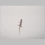 CostaRica_060.jpg