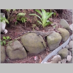 CostaRica_085.jpg