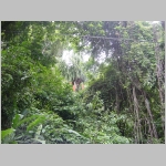 CostaRica_088.jpg