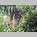 CostaRica_089.jpg