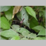CostaRica_090.jpg