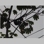 CostaRica_091.jpg