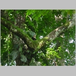 CostaRica_009.jpg