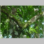 CostaRica_142.jpg