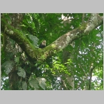 CostaRica_143.jpg