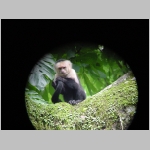 CostaRica_145.jpg