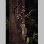 CostaRica_149.jpg