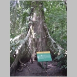 CostaRica_150.jpg