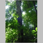 CostaRica_152.jpg