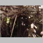 CostaRica_154.jpg
