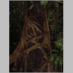 CostaRica_156.jpg