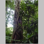 CostaRica_157.jpg