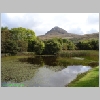30_Connemara.JPG