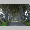 01_DarkHedges.JPG