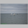 02_sailboats.jpg